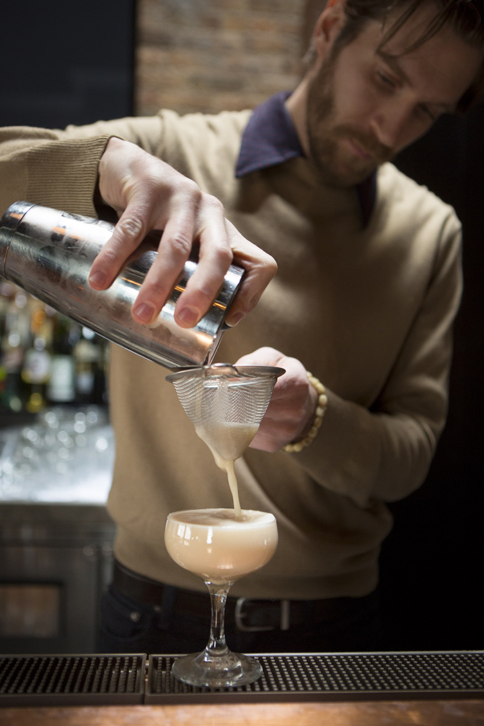 kinmont barbary falcon