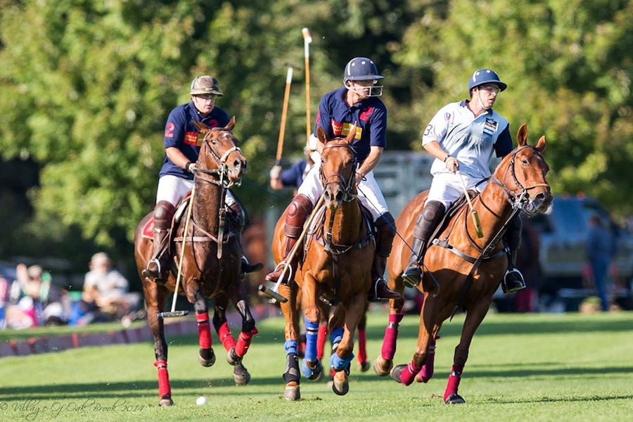 2014 Oak Brook Polo season