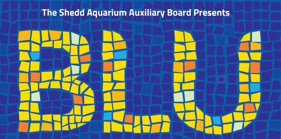 Shedd Blu 2014 Fest Brasil