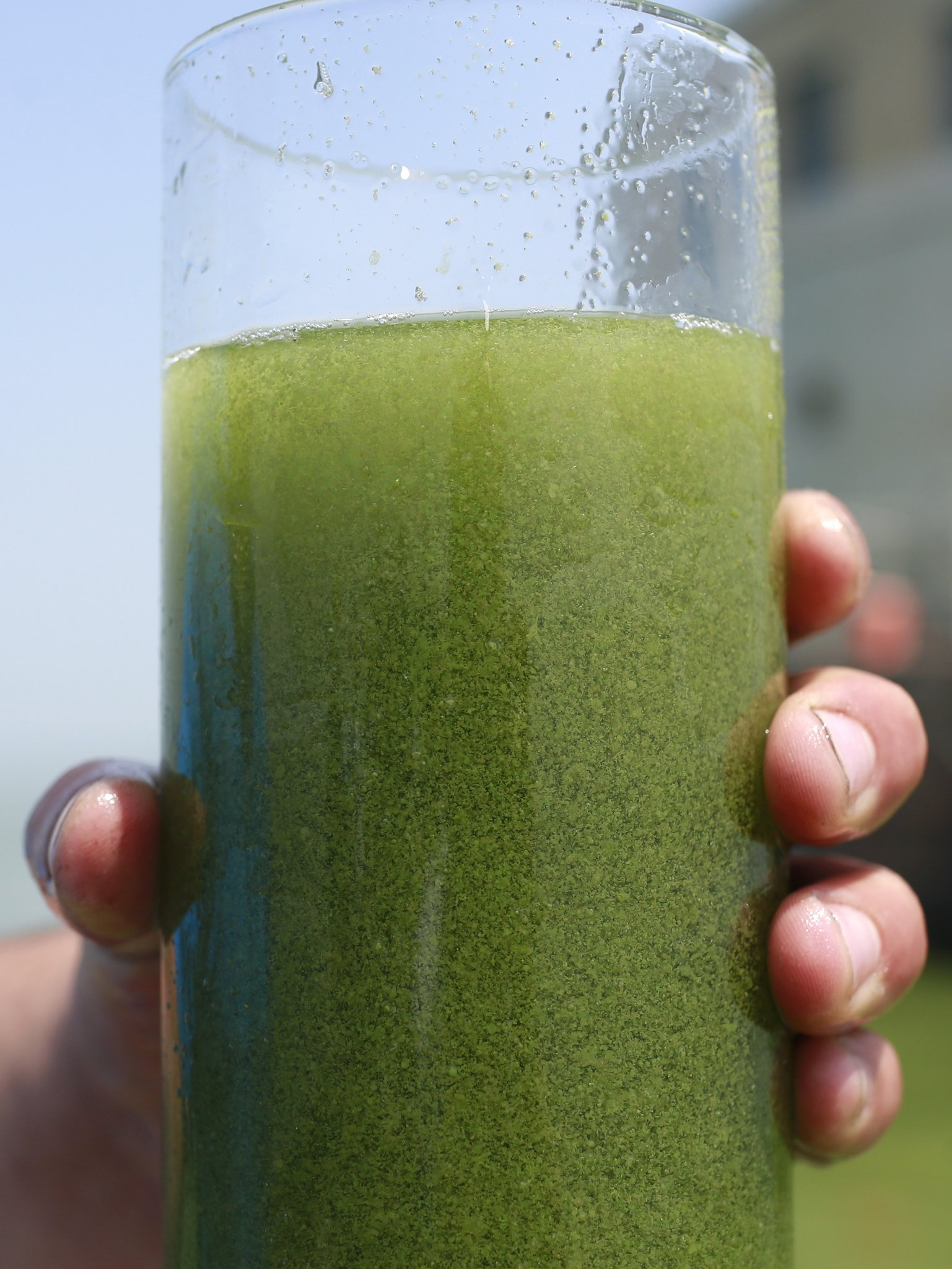 A sample of Lake Erie water taken near the city’s water-intake crib