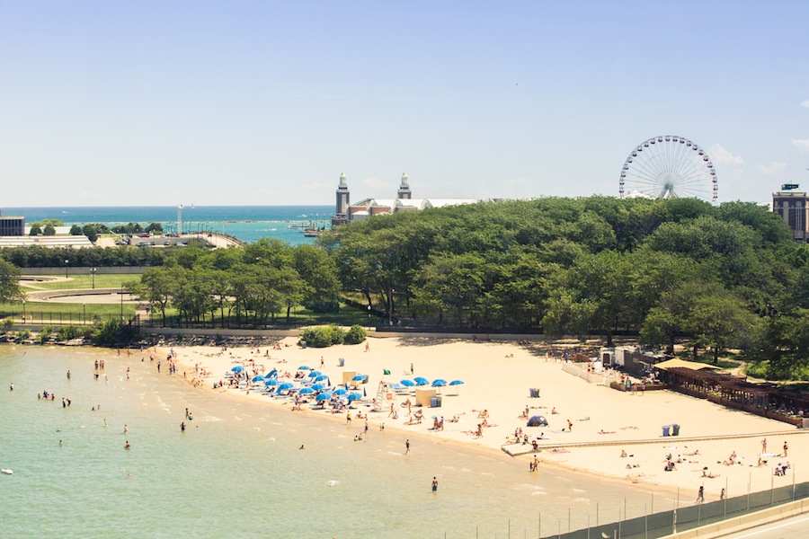 WCFDA_APeaceTreaty_Collab-31