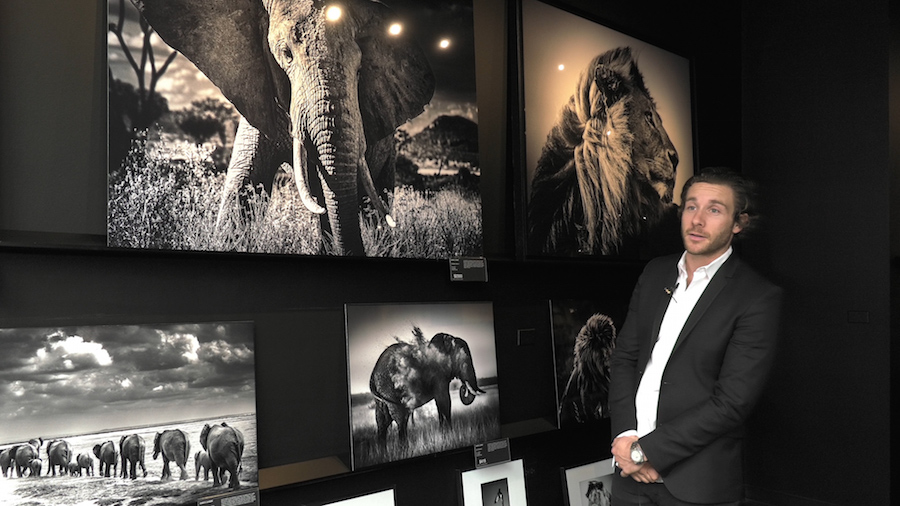 anthony-yellowkorner