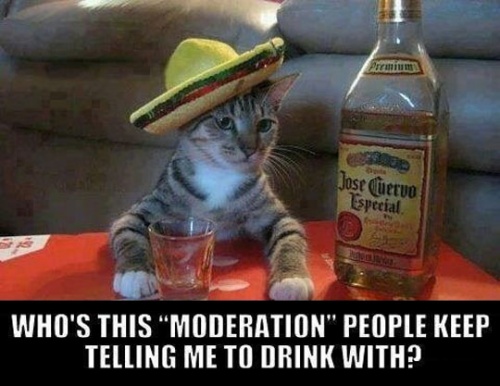 drink with moderation